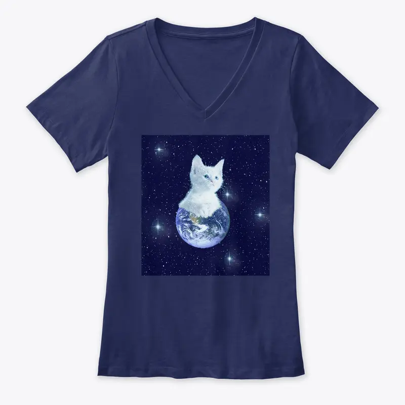 Space Baby Cat on Earth